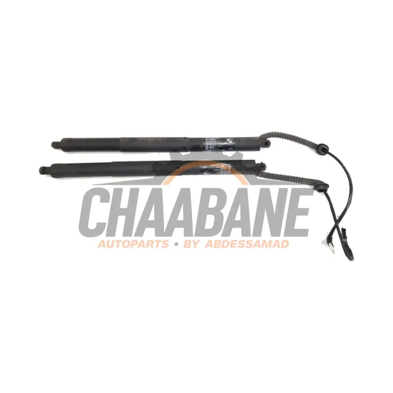 Verin de coffre 51247294470 BMW X5 (F15) xDrive 40d 3.0 24V 2013 / 2018