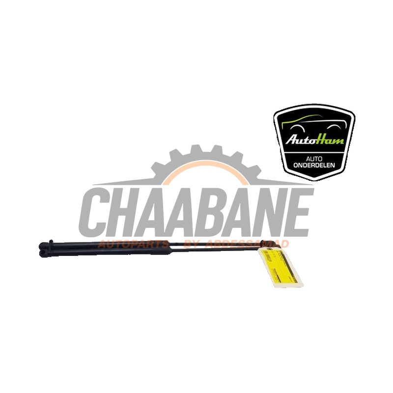 Verin de coffre 6F0827550 Seat Ibiza V (KJB) 1.0 TSI 12V 2017