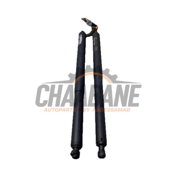 Kit amortisseur couvercle coffre 9447875 BMW X1 (F48) sDrive 20i 2.0 16V Twin Power Turbo 2014 / 2022