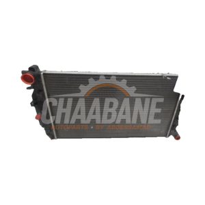 Radiateur A9065000202 Mercedes Sprinter
