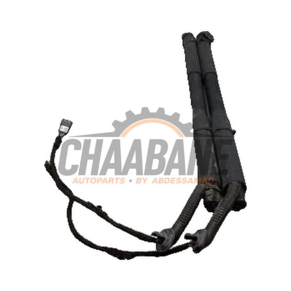 Kit amortisseur couvercle coffre 726315508 BMW 3 serie Touring (F31) 318d 2.0 16V 2012 / 2019