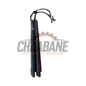 Kit amortisseur gaz hayon 18202210 BMW X5 (F15) xDrive 40e PHEV 2.0 2013 / 2018