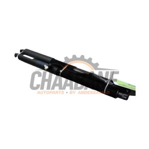 Verin de coffre 211371514I00516 BMW iX3 80 kWh 2020