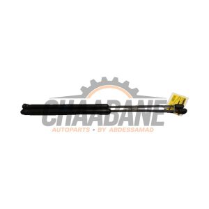 Verin de coffre 6F0827550B Seat Ibiza V (KJB) 1.0 TSI 12V 2017