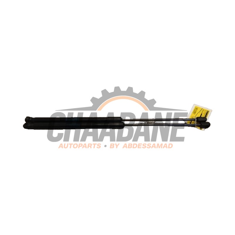 Verin de coffre 6F0827550B Seat Ibiza V (KJB) 1.0 TSI 12V 2017