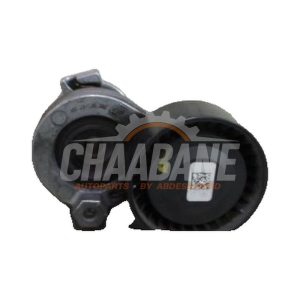 Rouleau tendeur courroie trapezoidale multiple 1175011213R Mercedes Citan (415.6) 1.5 109 CDI