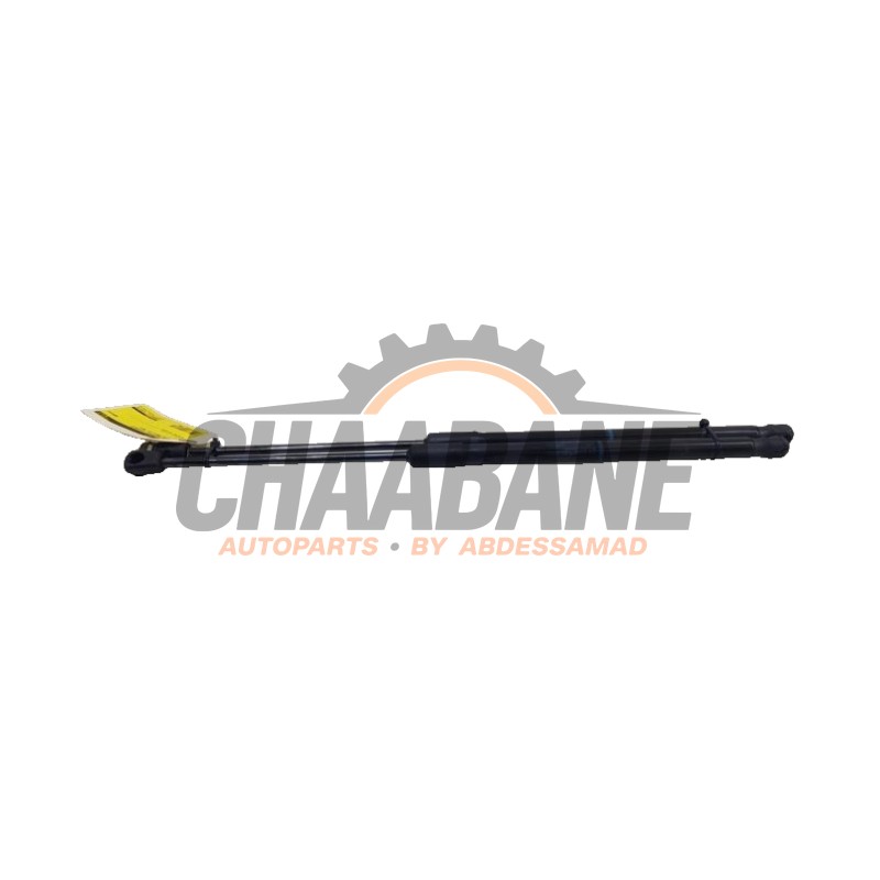 Kit amortisseur gaz hayon 6VE827550 Skoda Fabia IV (PJ3) 1.0 TSI 12V 2021