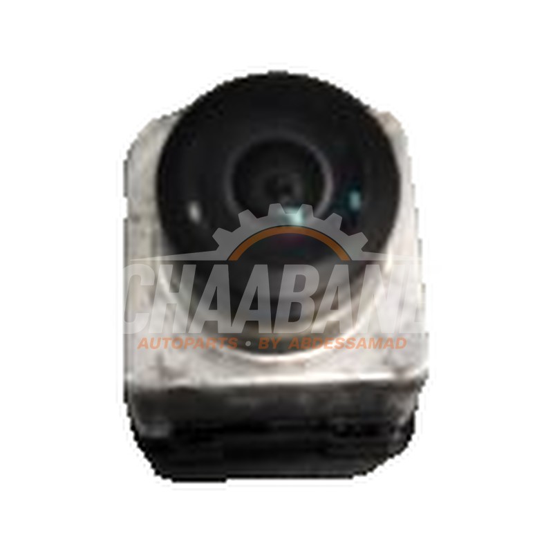 Camera de recul 4N0980546A Audi E-Tron 2018