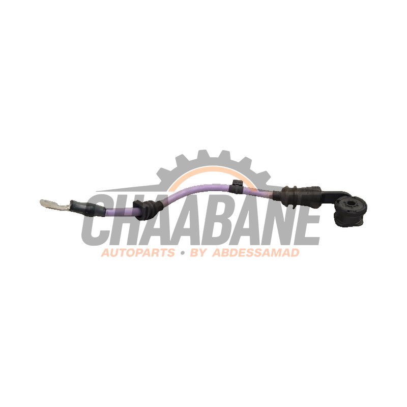 Borne de batterie 61138795768 BMW 3 serie Touring (G21) M340d xDrive 3.0 Mild Hybrid 24V 2019