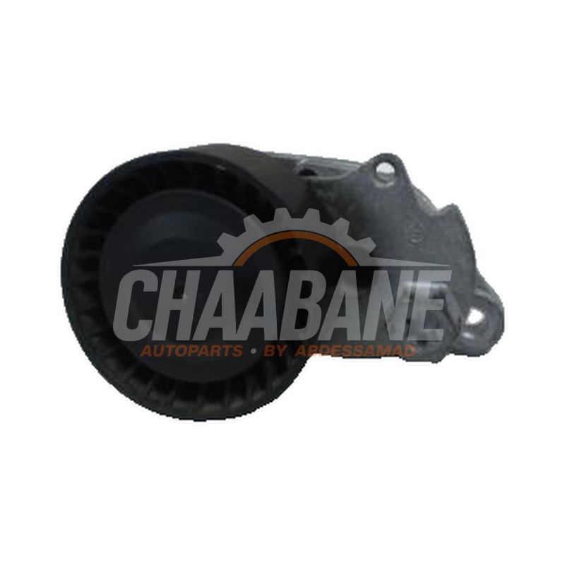 Rouleau tendeur courroie trapezoidale multiple 04E145299L Seat Leon 2012 / 2020
