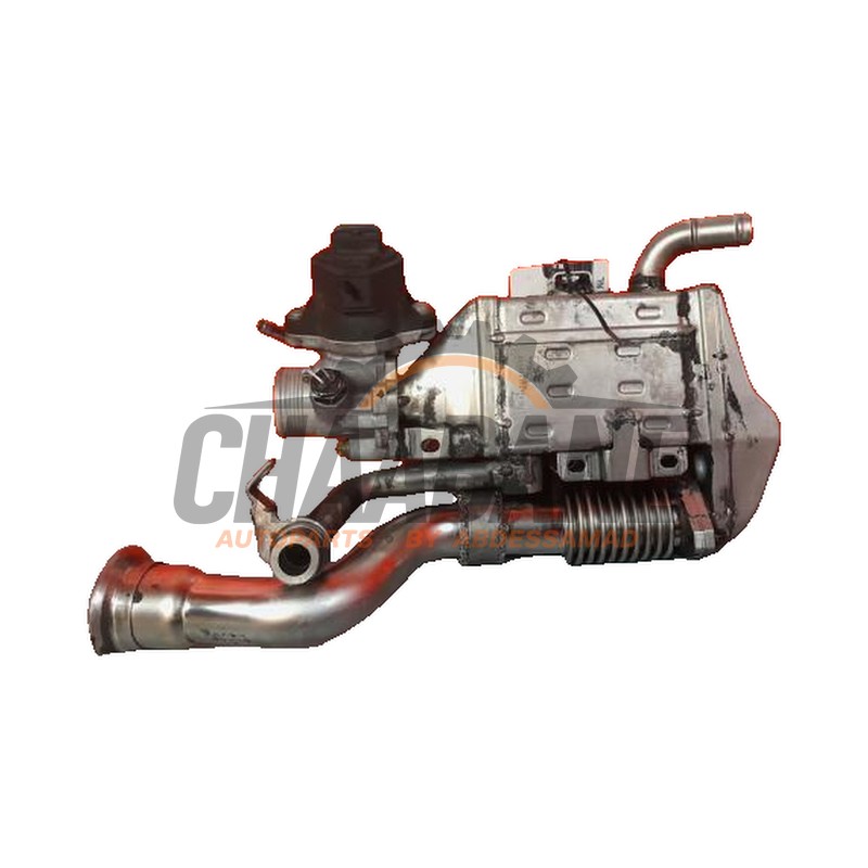 Valve RGE A6541405700 Mercedes CLS (C257) 300d 2.0 Turbo 16V