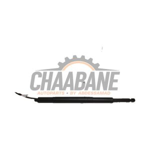Amortisseur a gaz arriere gauche C97198104 BMW 3-Serie 2019
