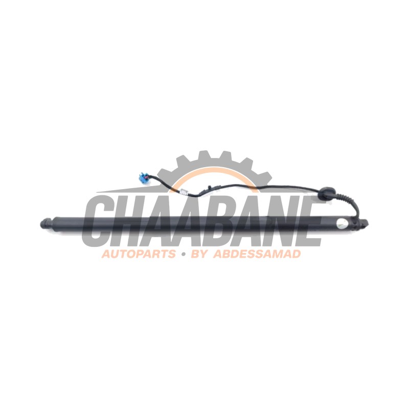 Hayon moteur A2968900200 Mercedes EQS SUV (X296) 450+ 108/118 kWh