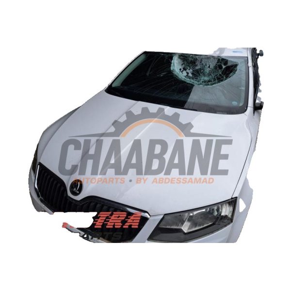 Capot 5E0823031 Skoda Octavia Combi (5EAC) 1.6 TDI Greenline 16V 2012 / 2020