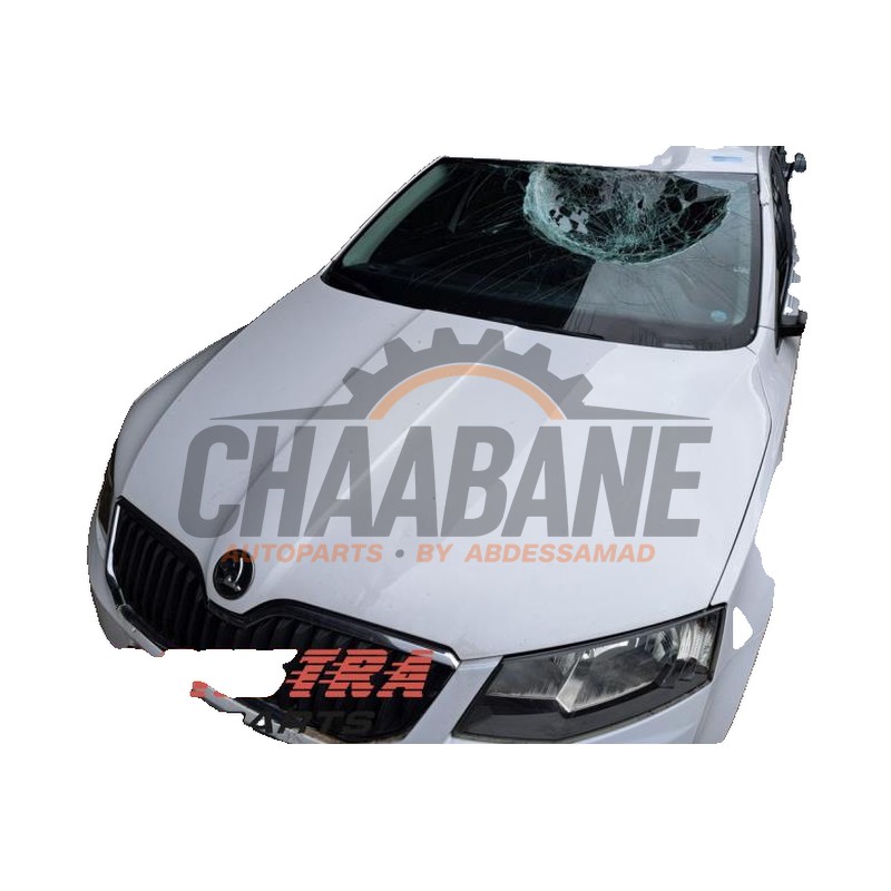 Capot 5E0823031 Skoda Octavia Combi (5EAC) 2012 / 2020