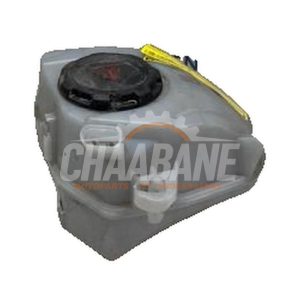 Reservoir dexpansion 2Q0121407B Volkswagen Polo VI (AW1) 1.0 TSI 12V 2017
