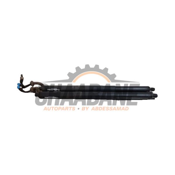 Kit amortisseur couvercle coffre 51247432771 BMW 2 serie Gran Tourer (F46) 216d 1.5 TwinPower Turbo 12V 2014