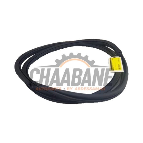 Joint caoutchouc portiere 4portes arriere gauche 6F0867367E9B9 Seat Ibiza V (KJB) 1.0 TSI 12V 2017