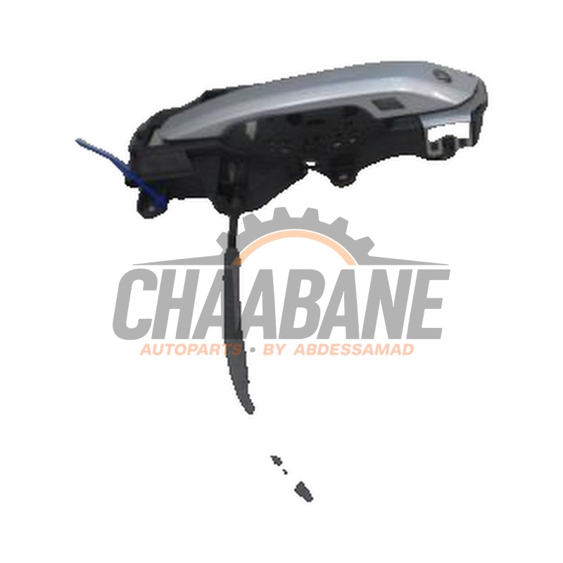 Poignee portiere 2portes gauche 8W1837811A Audi A5 2016