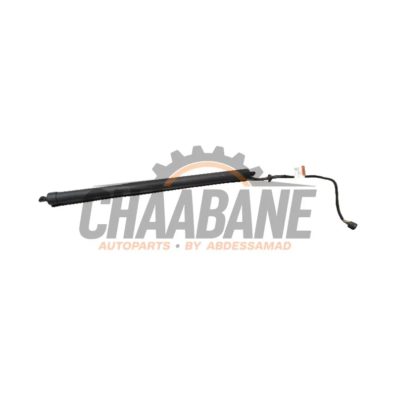 Hayon moteur HK8370354AC Jaguar F-Pace 2.0 D 180 16V
