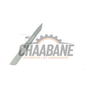 Eclairage dembarquement 5F4947417D Cupra Formentor 2.0 TSI 16V 4Drive 2020