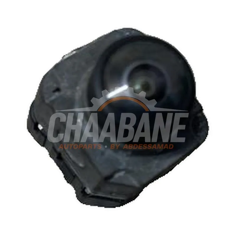 Camera avant Cupra Formentor 2.0 TSI 16V 4Drive 2020 5WA980546D