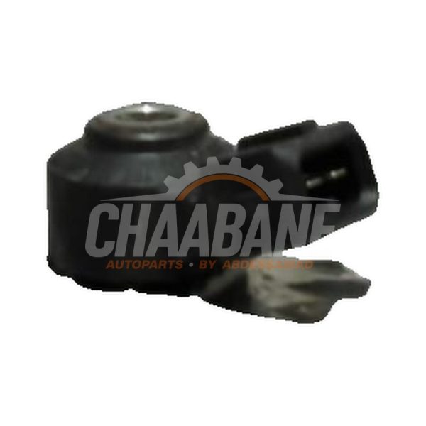Capteur de cliquetis 7636937 BMW 2 serie Gran Coupe (F44) 218i 1.5 TwinPower Turbo 12V 2019