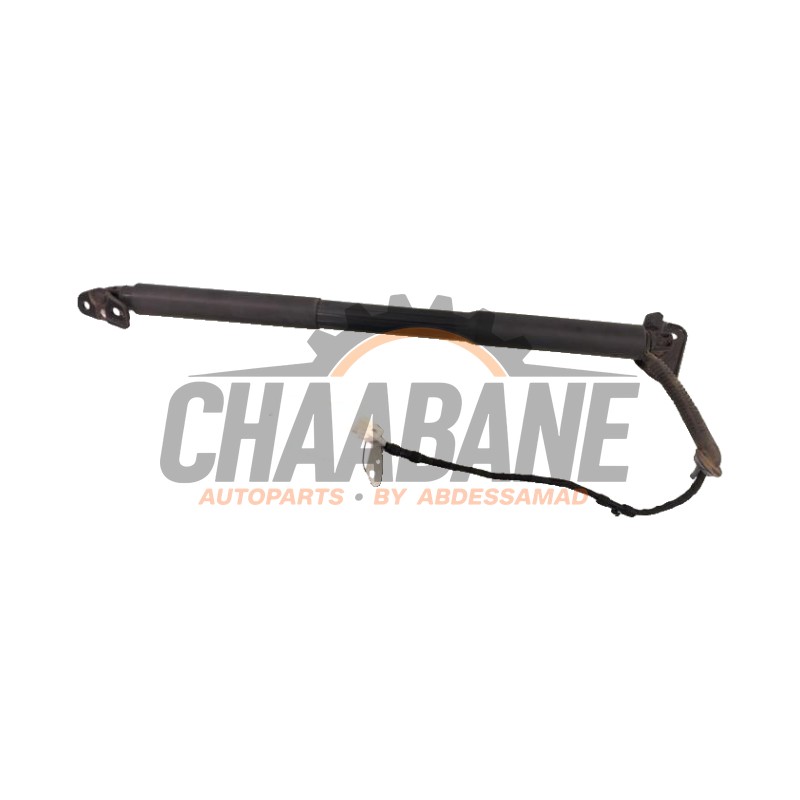 Amortisseur a gaz arriere droit 743237401 BMW 3 serie Touring (F31) 318i 1.5 TwinPower Turbo 12V 2012 / 2019