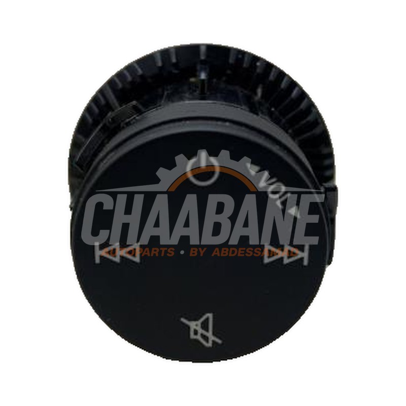 Panneau commande radio 8Y0919616A Audi Q4 Sportback (4FN) 40 e-tron 2021