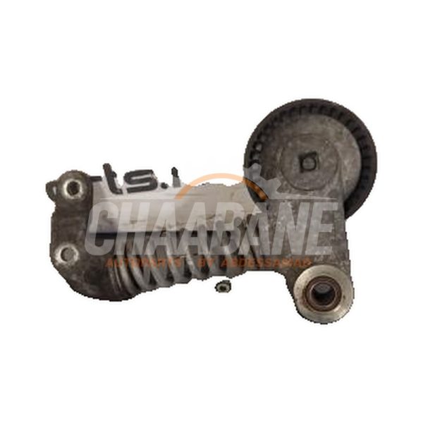 Rouleau tendeur courroie trapezoidale multiple 079903133BG Audi RS 6 Avant (C7) 4.0 V8 TFSI 32V 2013 / 2018