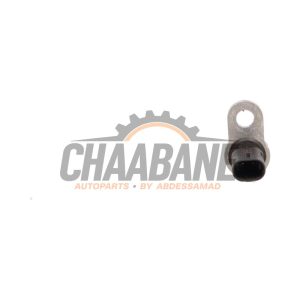 Capteur de temperature moteur 079919523B Audi RS 4 Avant (B9) 2.9 V6 TFSI 24V 2017