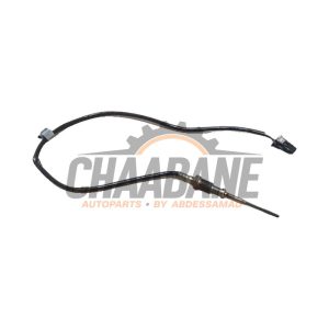 Sensor temperature d'echappement 09414202 BMW X5 (G05) xDrive M50d 3.0 24V 2018