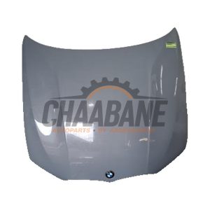 Capot 41008494446 BMW 3 serie Touring (G21) 318i 2.0 TwinPower Turbo 16V 2019