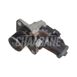 Valve RGE 8201411538 Mercedes Citan