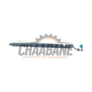Hayon moteur 7441811 BMW X7 M50d xDrive 3.0 24V 2019
