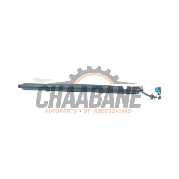 Hayon moteur 7441811 BMW X7 M50d xDrive 3.0 24V 2019