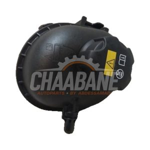 Reservoir dexpansion 1713861066103 BMW X5 (G05) xDrive M50d 3.0 24V 2018