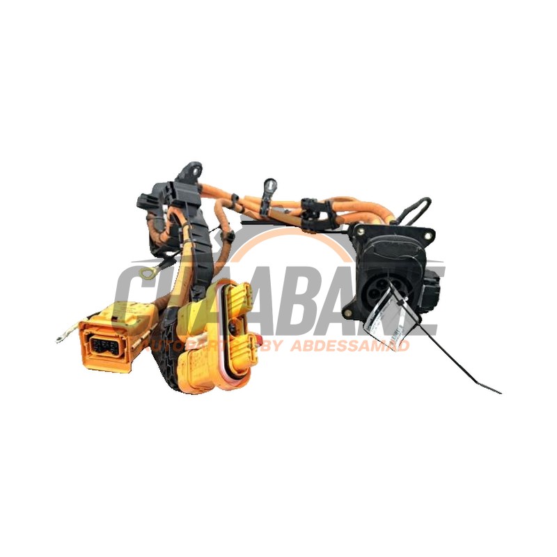 Port de chargement voiture electrique 1N3915563A Audi Q4 (F4B) 40 e-tron 2021