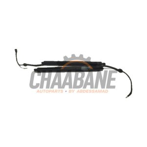 Kit amortisseur gaz hayon 7361878 BMW X5 (F15) xDrive 50i 4.4 V8 32V 2013 / 2018