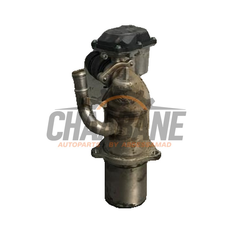 Valve RGE 04L131501B Audi A5 Sportback (F5A/F5F) 2.0 TDI 16V Quattro 2016