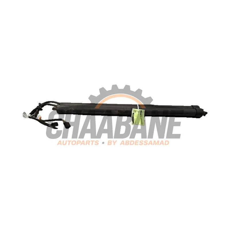 Kit amortisseur couvercle coffre J8A270354AJ Landrover Range Rover Velar (LY) 2.0 D180 AWD
