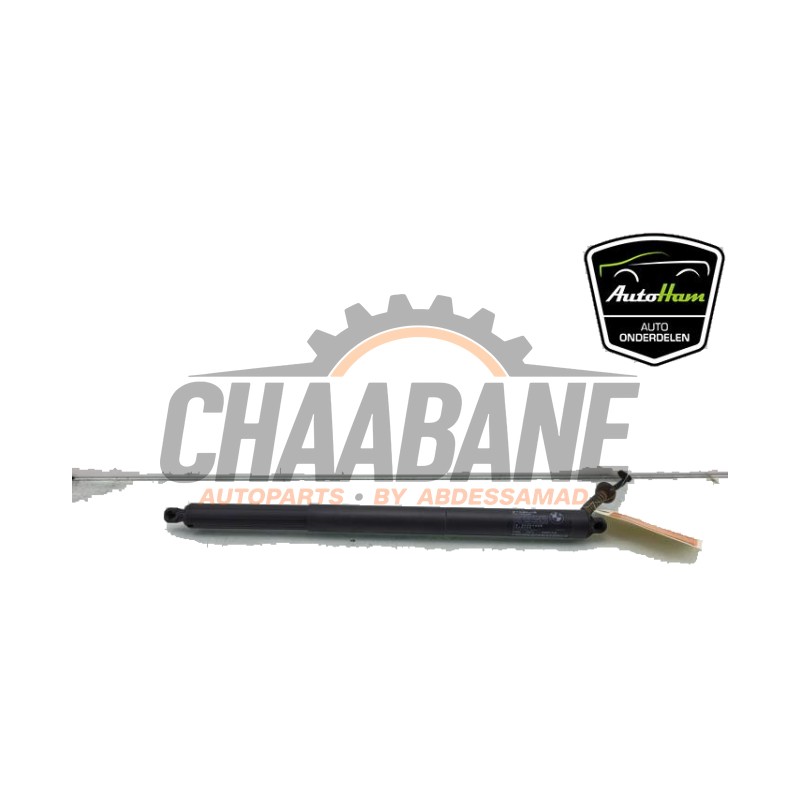 Hayon moteur 51247348523 BMW 2 serie Active Tourer (F45) 220i 2.0 TwinPower Turbo 16V 2013 / 2021