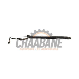 Amortisseur a gaz arriere gauche 760827851 Volkswagen Touareg 2017