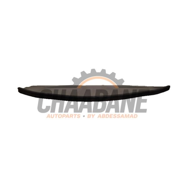 Caoutchouc capot Skoda Enyaq iV 80 2021