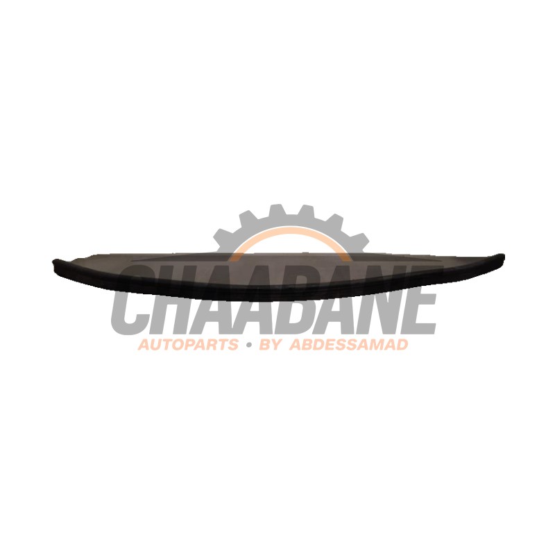 Caoutchouc capot Skoda Enyaq iV 80 2021