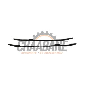 Galerie de toit 2455808 BMW X7 2019