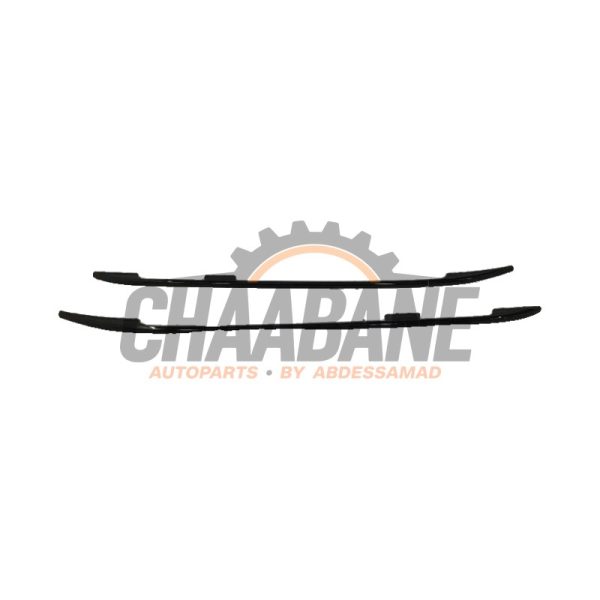 Galerie de toit 2455808 BMW X7 2019