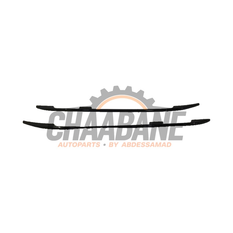 Galerie de toit 2455808 BMW X7 2019