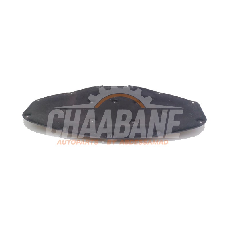 Revetement capot 51487221993 BMW 3 serie Touring (G21) 320e 2.0 TwinPower Turbo 16V 2019