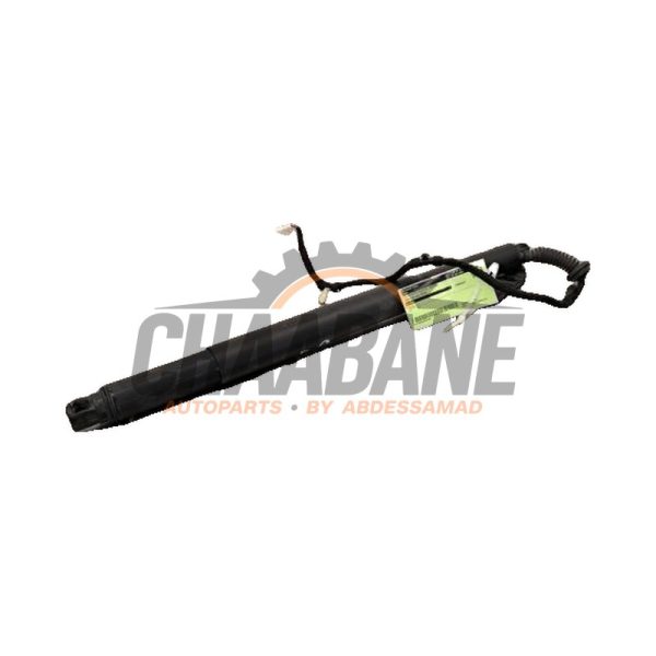 Amortisseur a gaz arriere droit 51247318652 BMW X6 (F16) M50d 3.0 24V 2014 / 2019